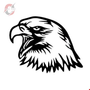 تابلو دیواری CNC طرح عقاب کد 6